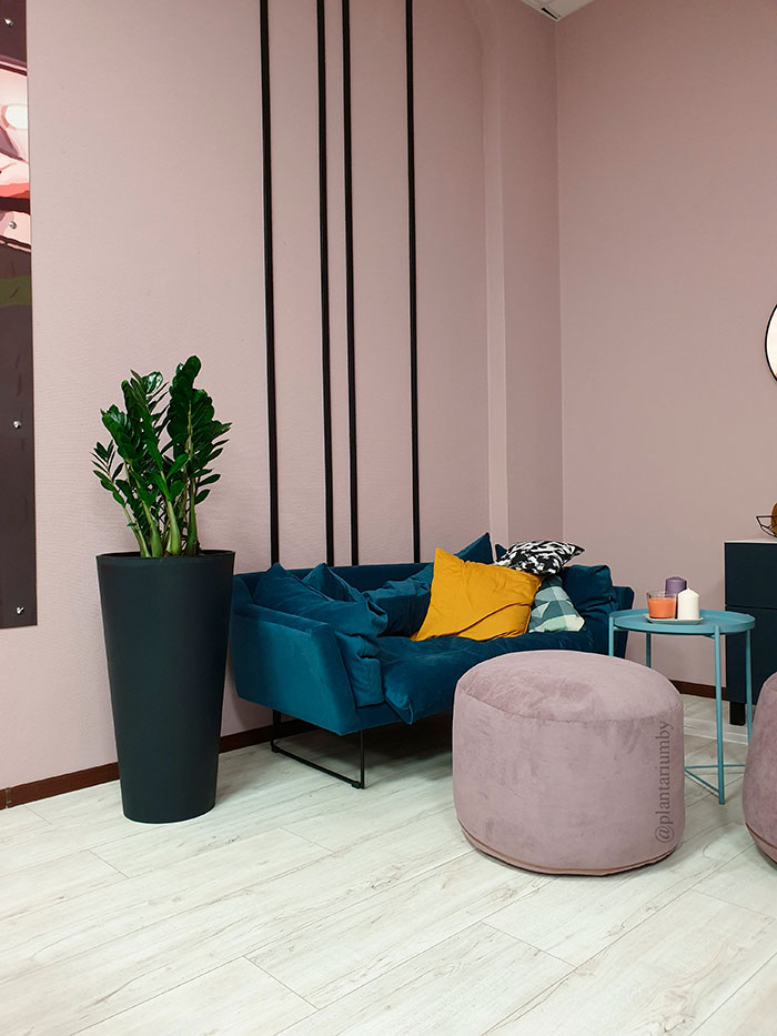 Dynamic Content Image