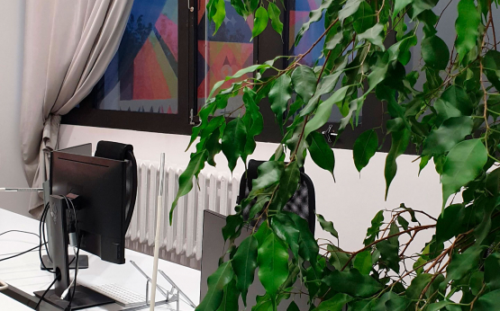 Как зелень влияет на наше здоровье и самочувствие?