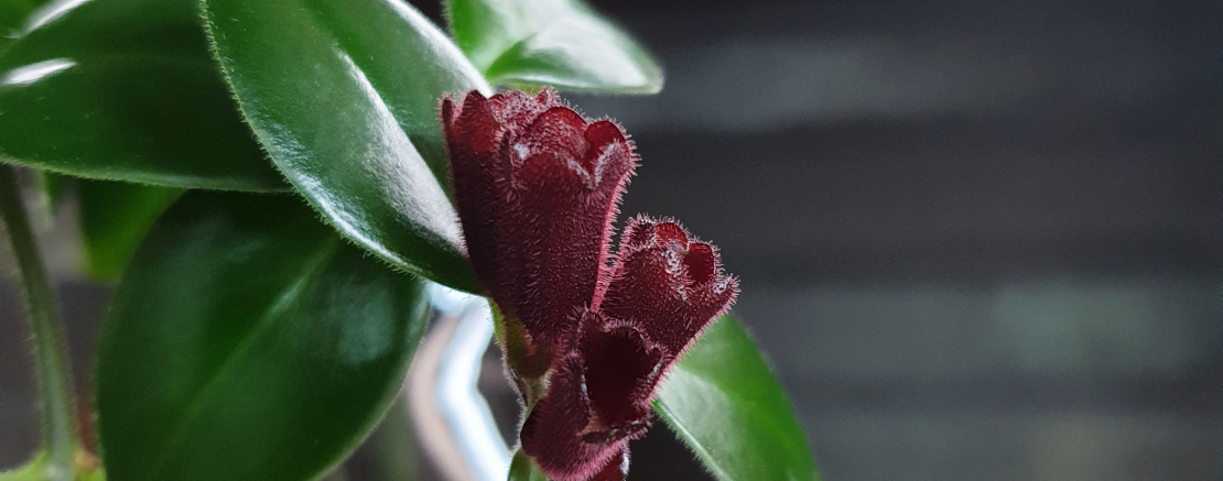 Офис как инструмент построения бренда.