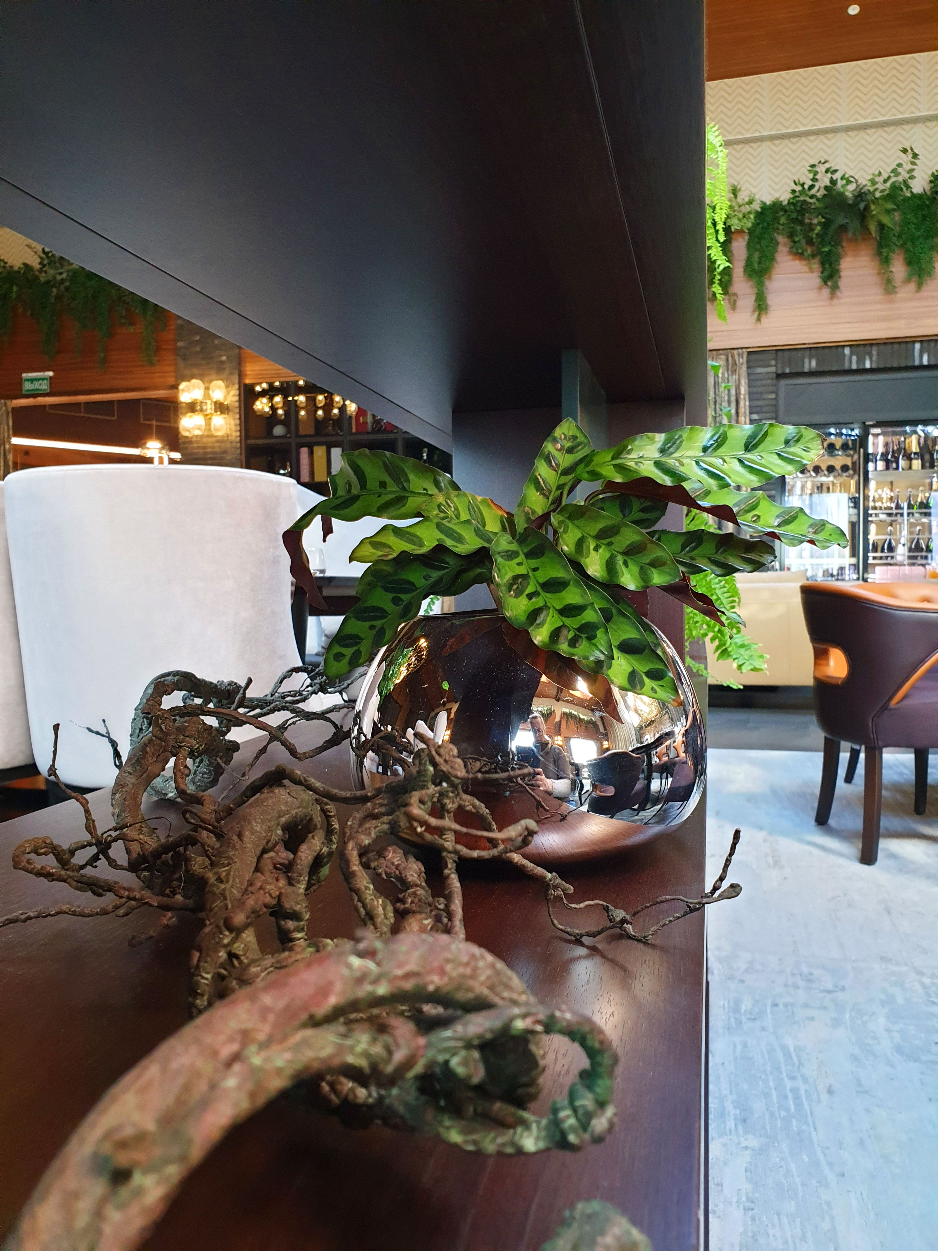 Dynamic Content Image