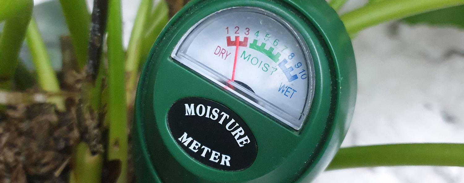 Dynamic Content Image