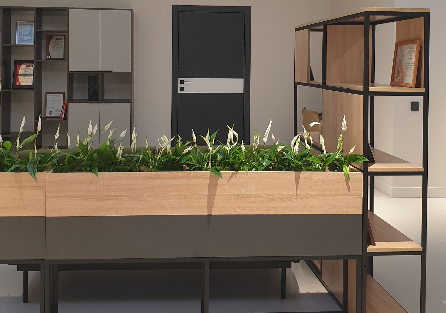 Dynamic Content Image