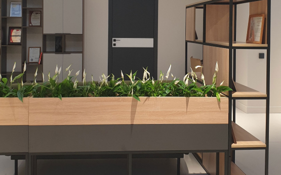 График ухода за растениями