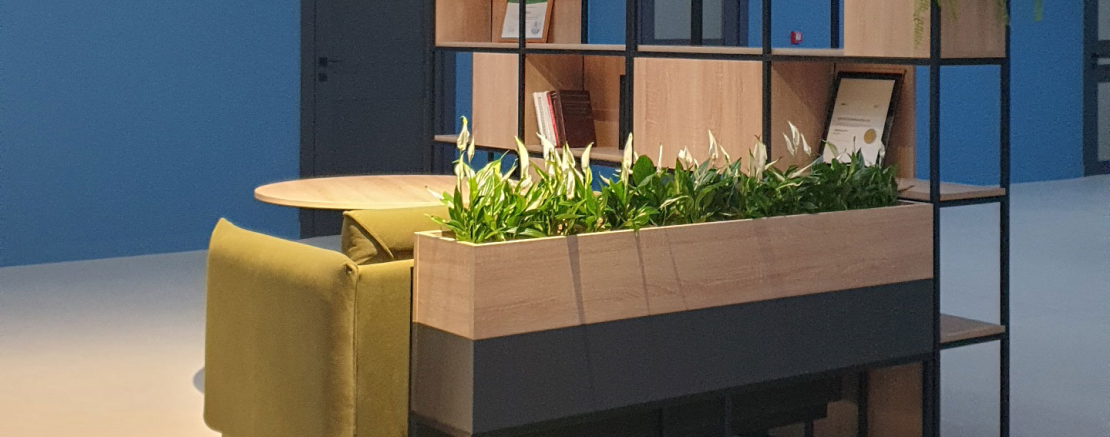 Сколько стоит уход за комнатными растениями