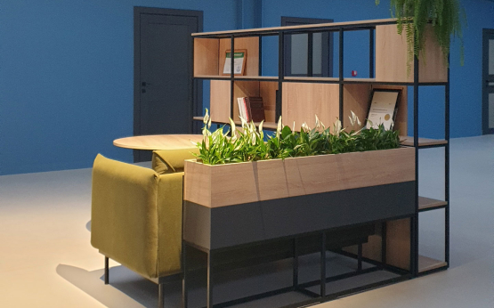 Сколько стоит уход за комнатными растениями