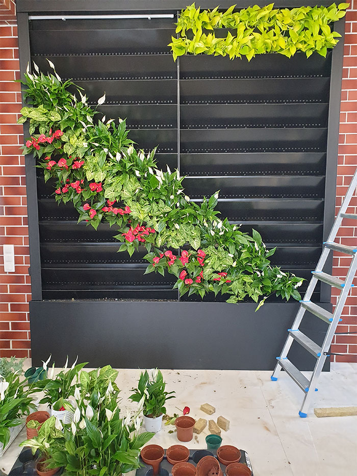 Вертикальное озеленение г. Минск Вертикальное озеленение г. Минск