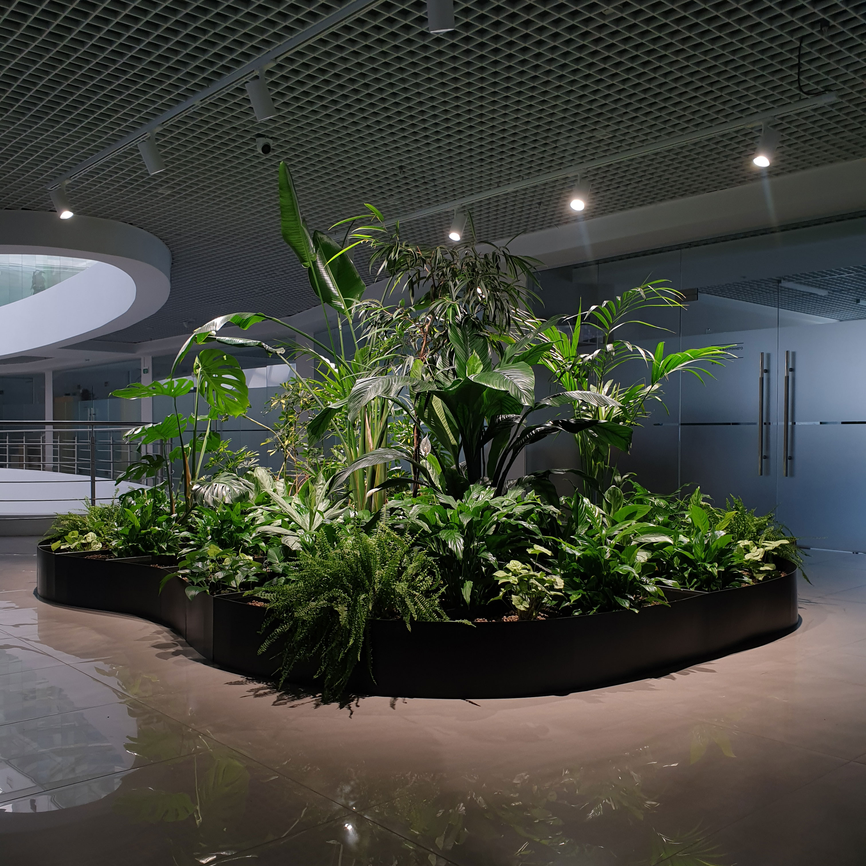 Растения в подвесных кашпо. Офис г. Минск. Plantarium.by Image