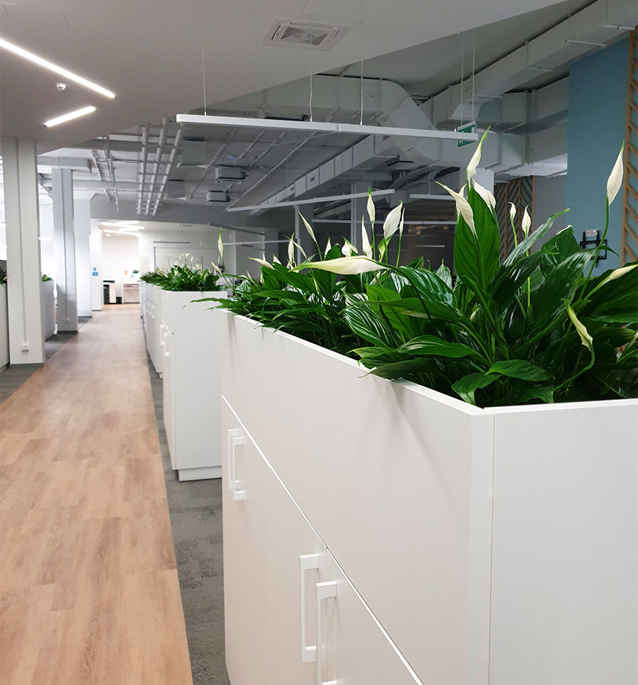 Dynamic Content Image