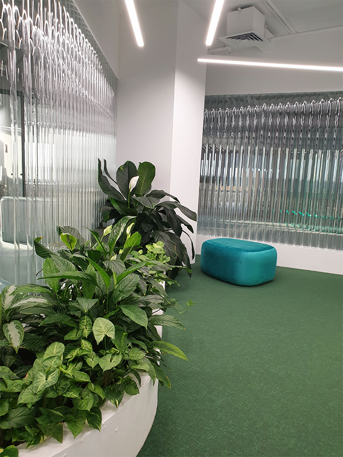 Dynamic Content Image