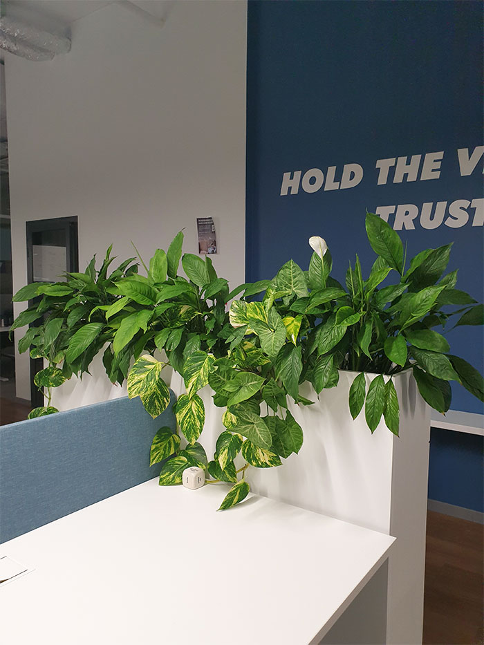 Dynamic Content Image