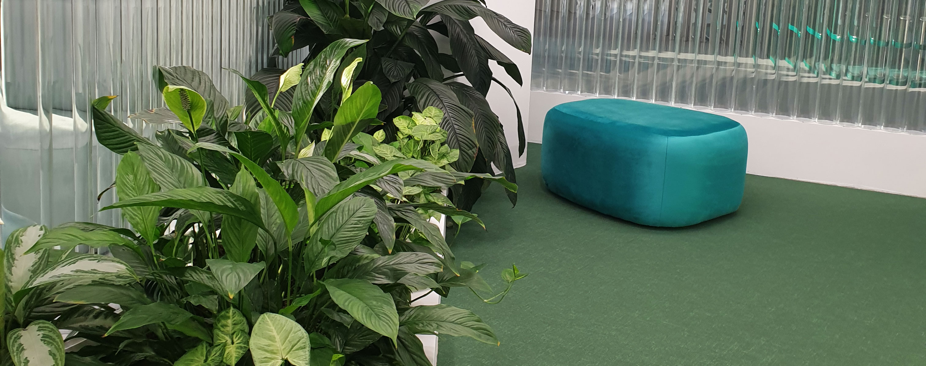 Dynamic Content Image