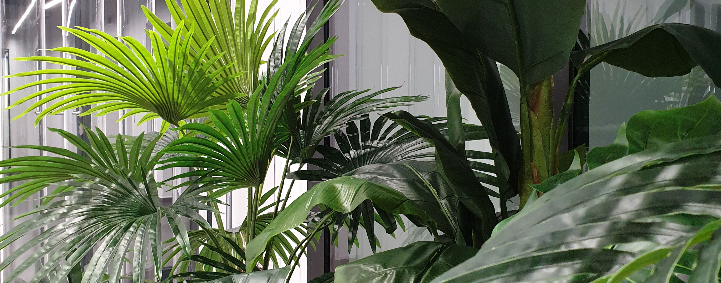 Dynamic Content Image