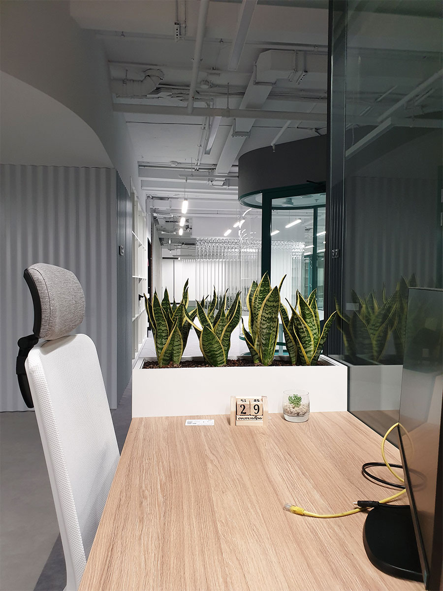 Dynamic Content Image